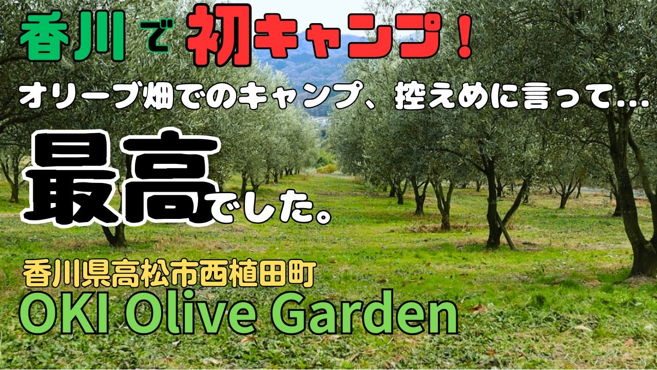 オリーブ畑でのキャンプ、控えめに言って最高でした。【OKI Olive Garden】【オキ オリーブガーデン】