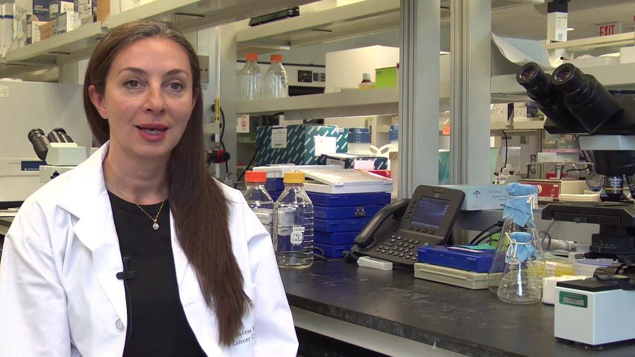 Q&A with neurosurgeon Dr. Gelareh Zadeh on the latest in Glioblastoma research