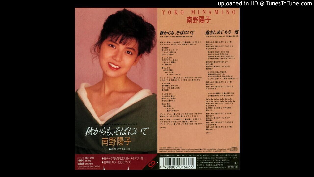南野陽子 - 抱きしめてもう一度