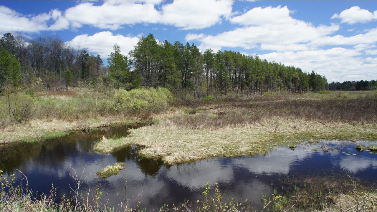 Пеший поход по горному маршруту Мичигана (HCP): 82-мильный 4-дневный одиночный поход, май 2013 г.