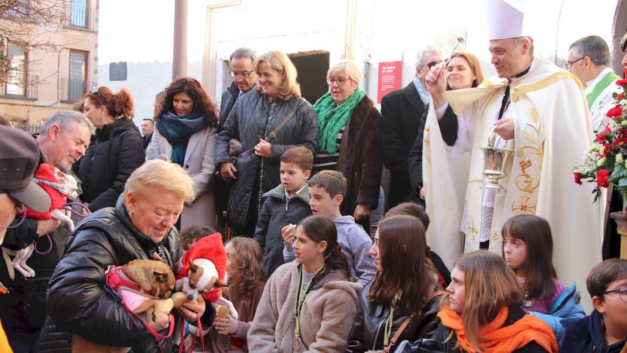 Fiesta de San Antón 2024 de Alcalá de Henares