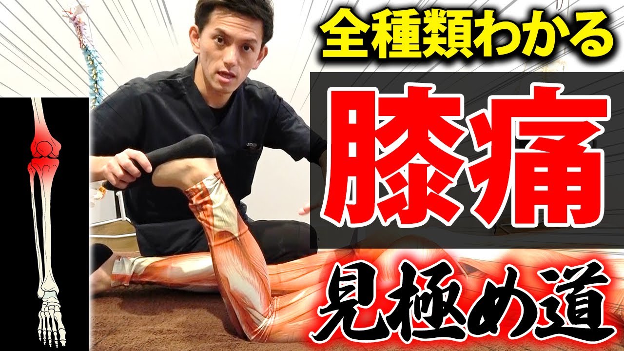 【※超有料級※】見るだけで全ての膝の痛みが見極められる神ワザを徹底解説！
