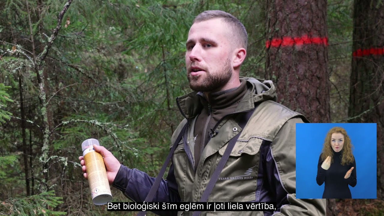 Profesija: Meža plānotājs