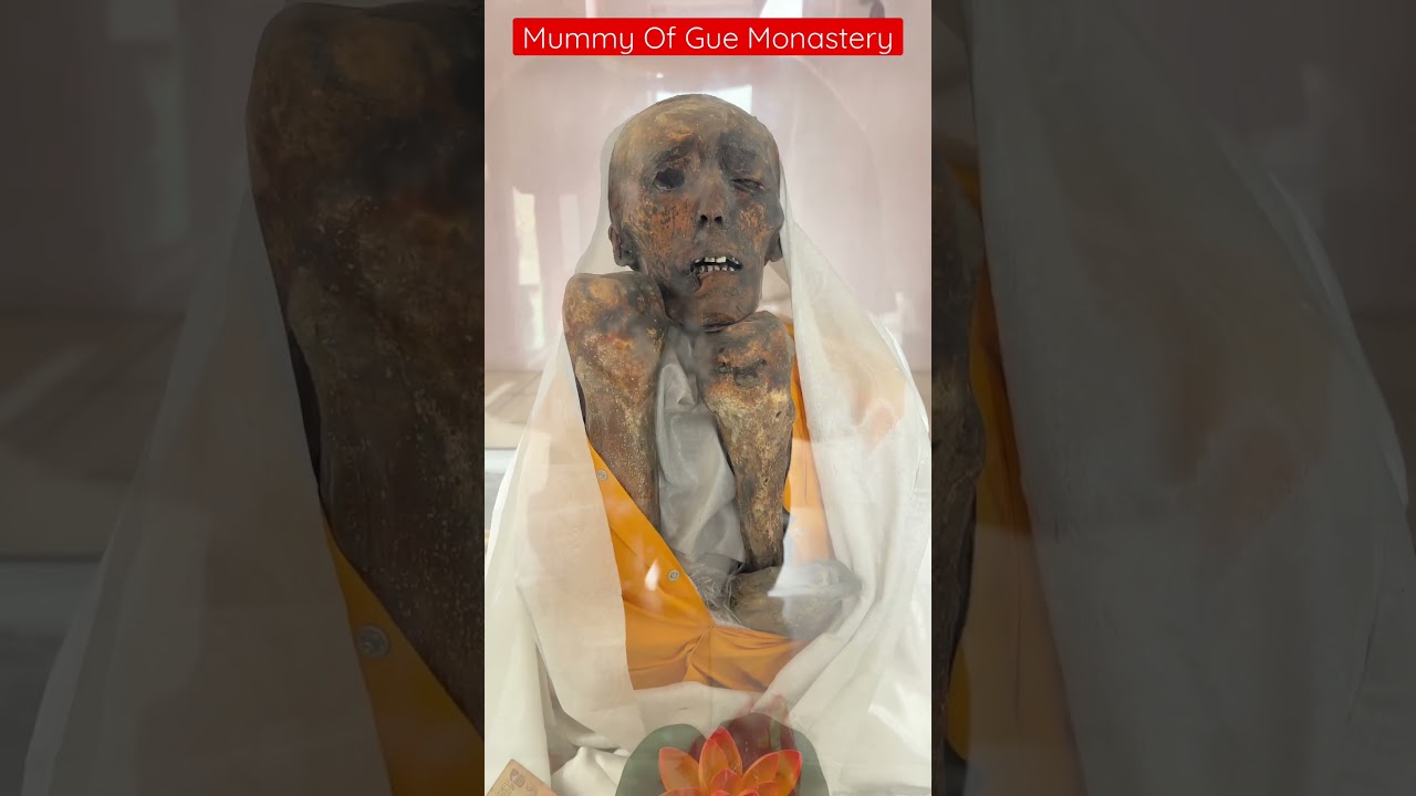 Mummy Of Gue Monastery #travelblogger #travel #spiti #kaza #monastry #mummy #om #himachalpradesh