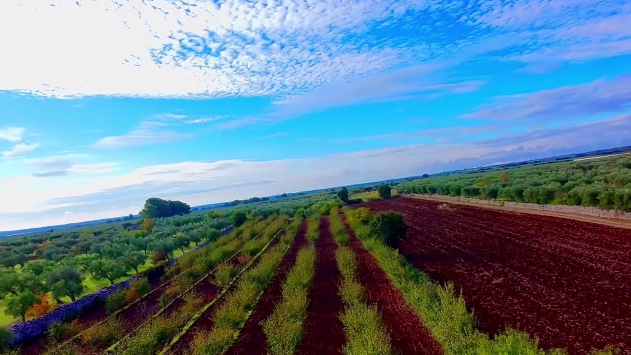 Autumn in Apulian countryside 