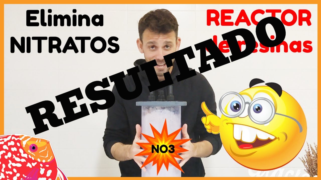 RESULTADOS de nuestro REACTOR DE NITRATOS tras 3 meses de uso | AQUARIS