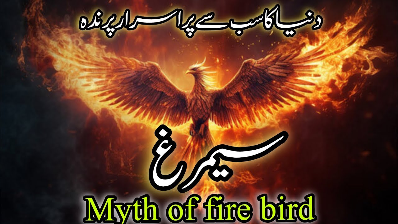 king of birds, phoenix bird, simurgh, myth of fire bird,mystry of fire bord
