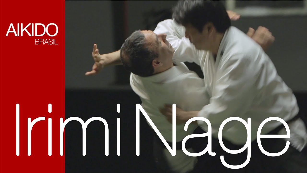AIKIDO - Irimi Nage (入身投げ)