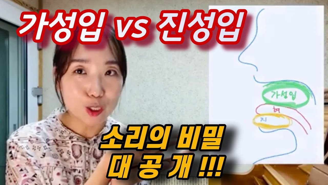 아무도 알려주지 않은 소리 비법! 가성입 vs 진성입 (유료 강의 내용 포함 )