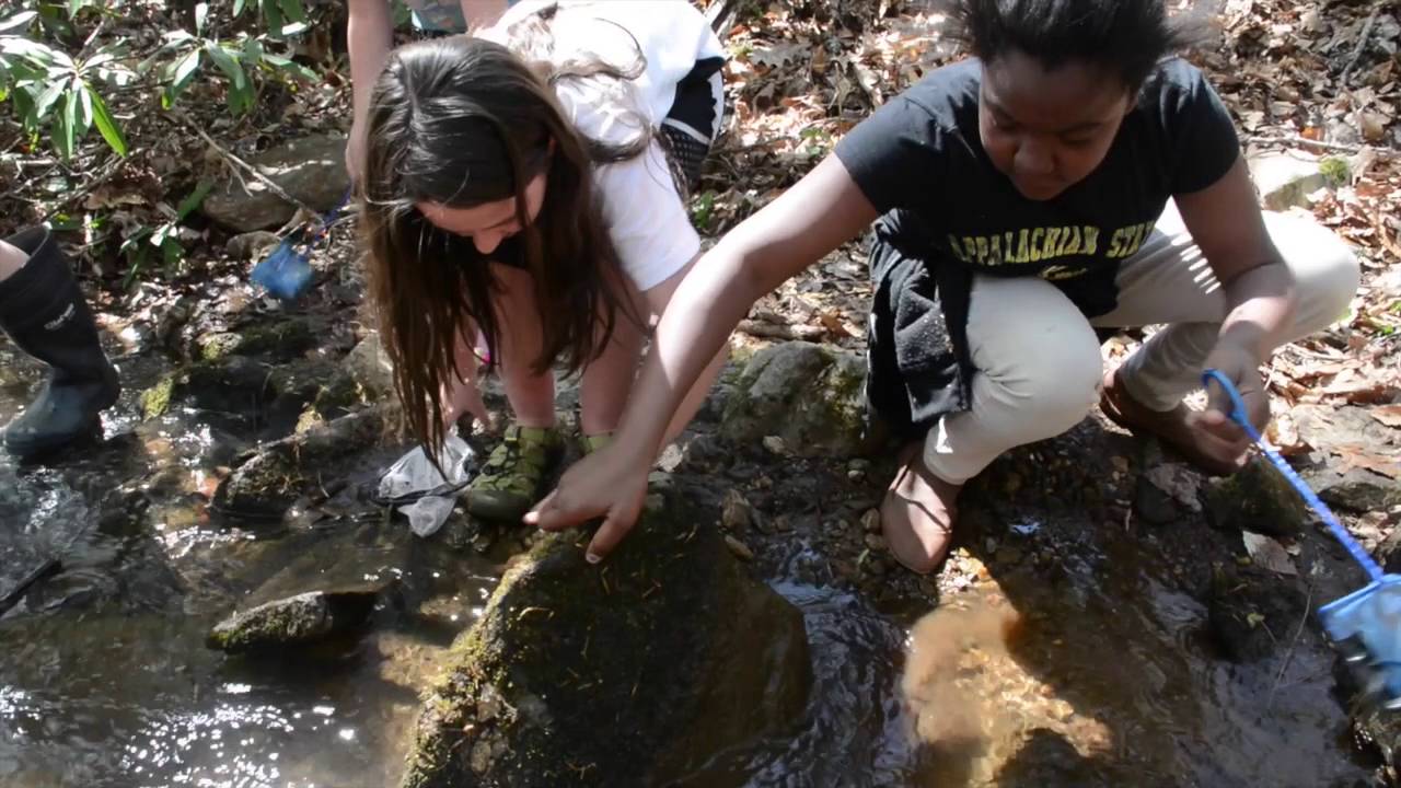 Muddy Sneakers in Asheville City Schools