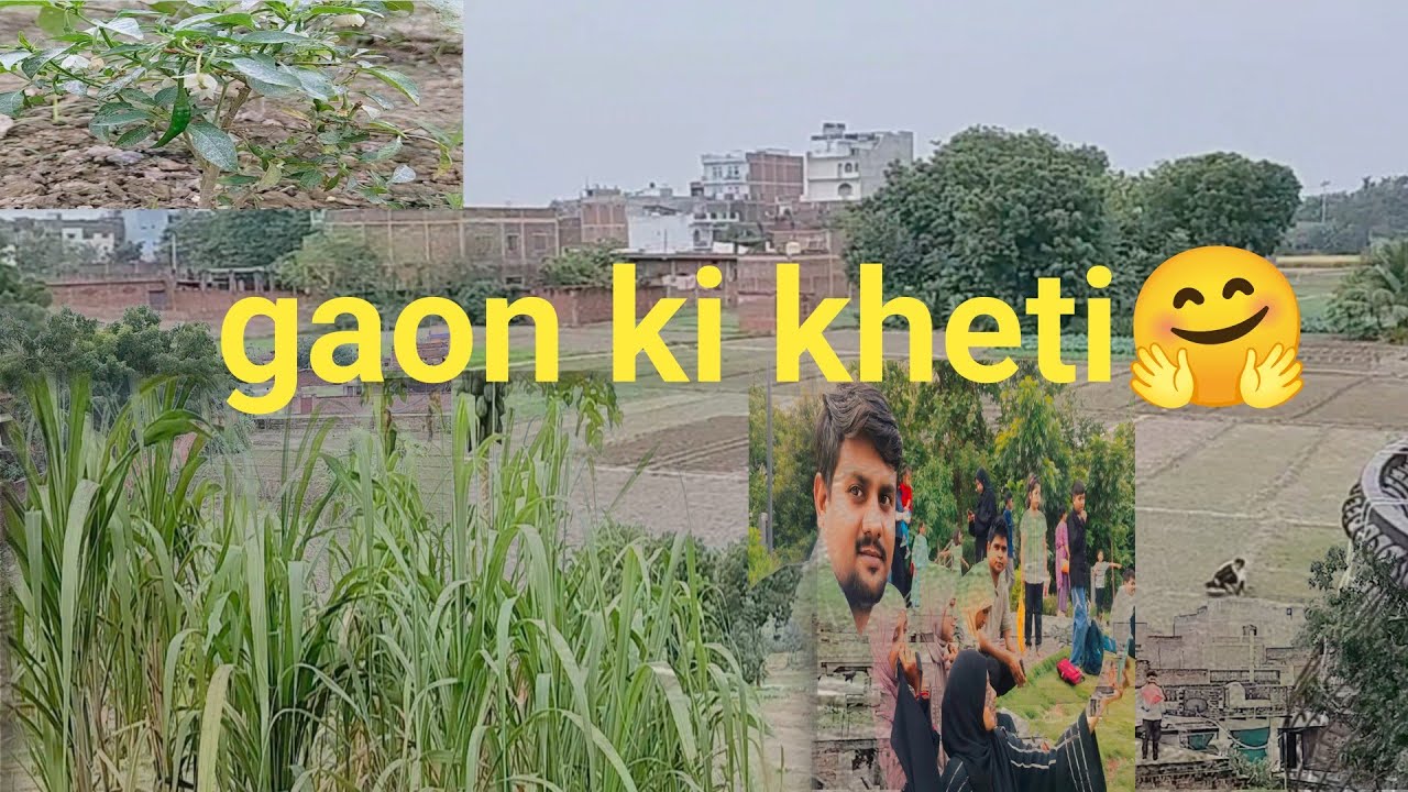 गांव का बहुत / खूबसूरत नजारा /🤗👌 gaon ki kheti ll gaon ka bahut khubsurat Ghar 