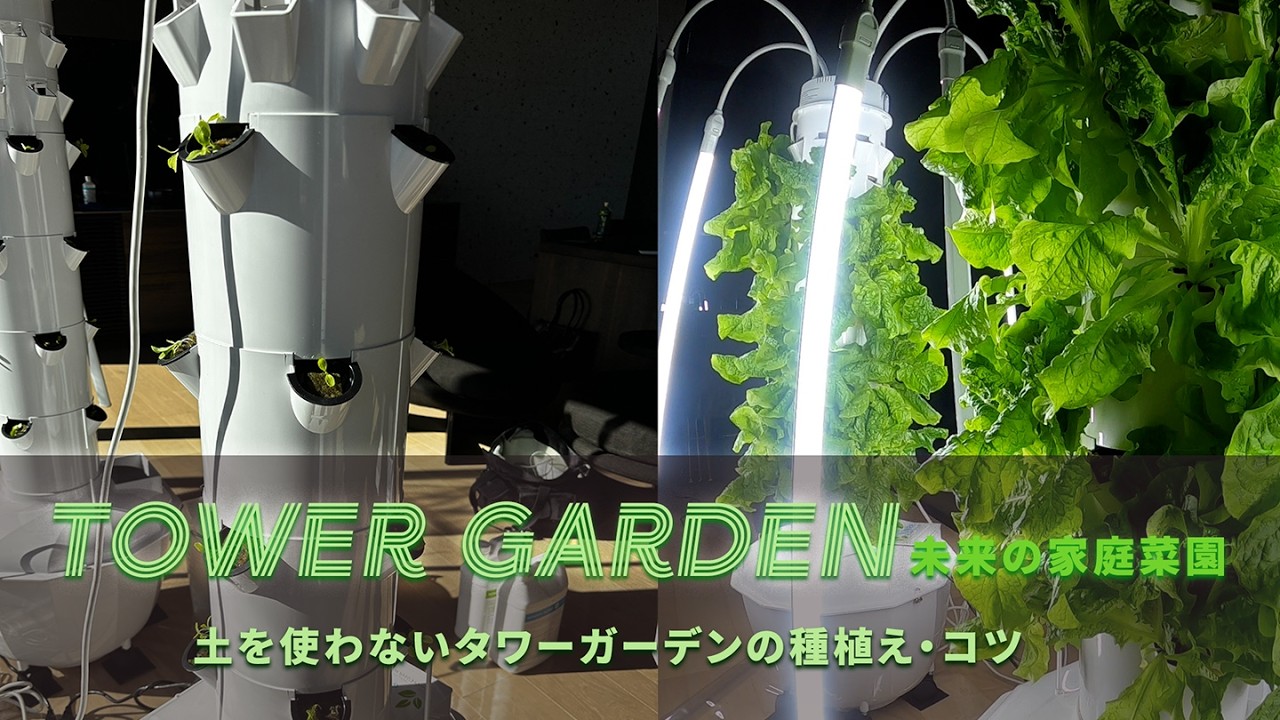 【未来の家庭菜園】土を使わないタワーガーデンの種植え・コツ