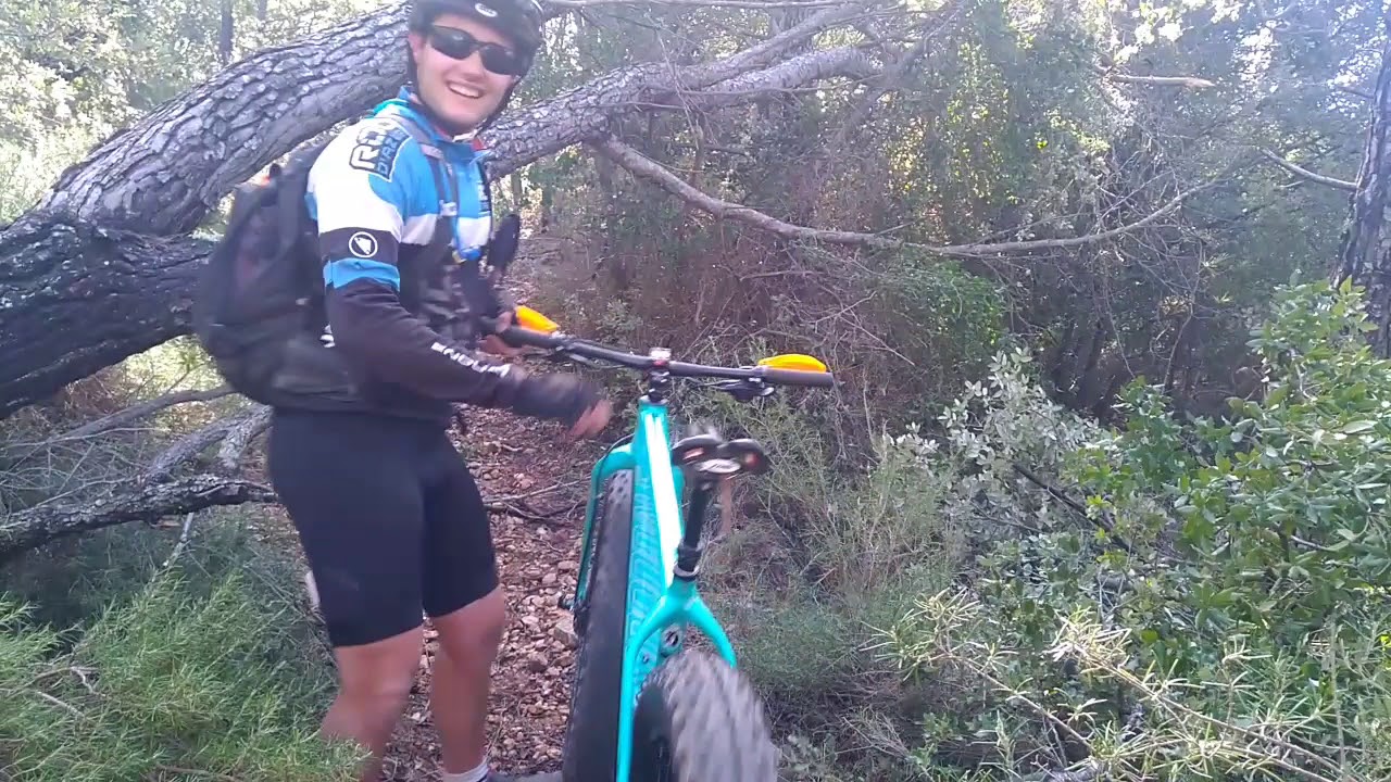 Cannondale fat caad 3 dans la forêt