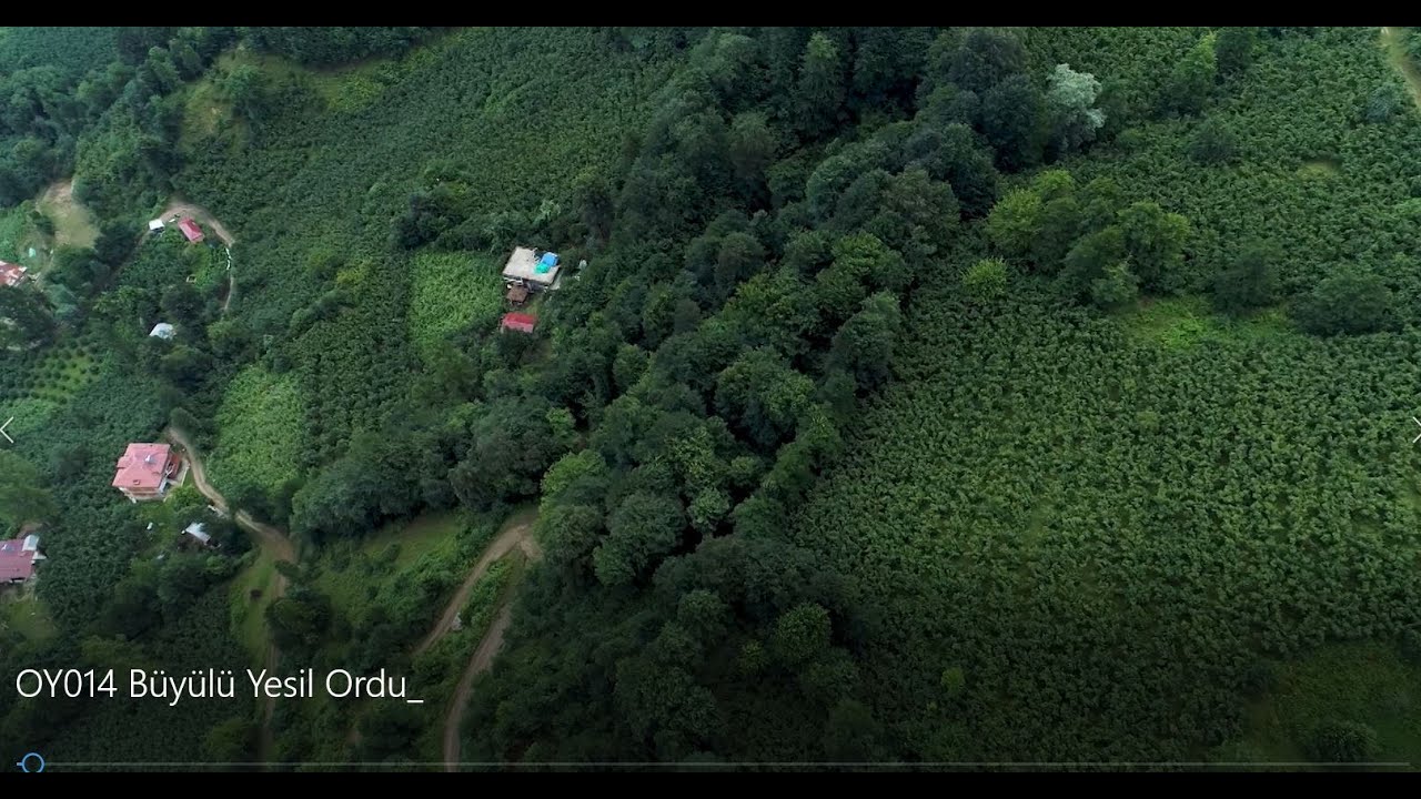 BeIN İZ TV OY014 "Büyülü Yeşil Ordu"