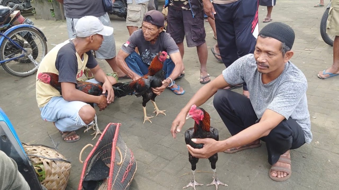 Minggu Wage dolan pasar pahing Wedi Klaten lur