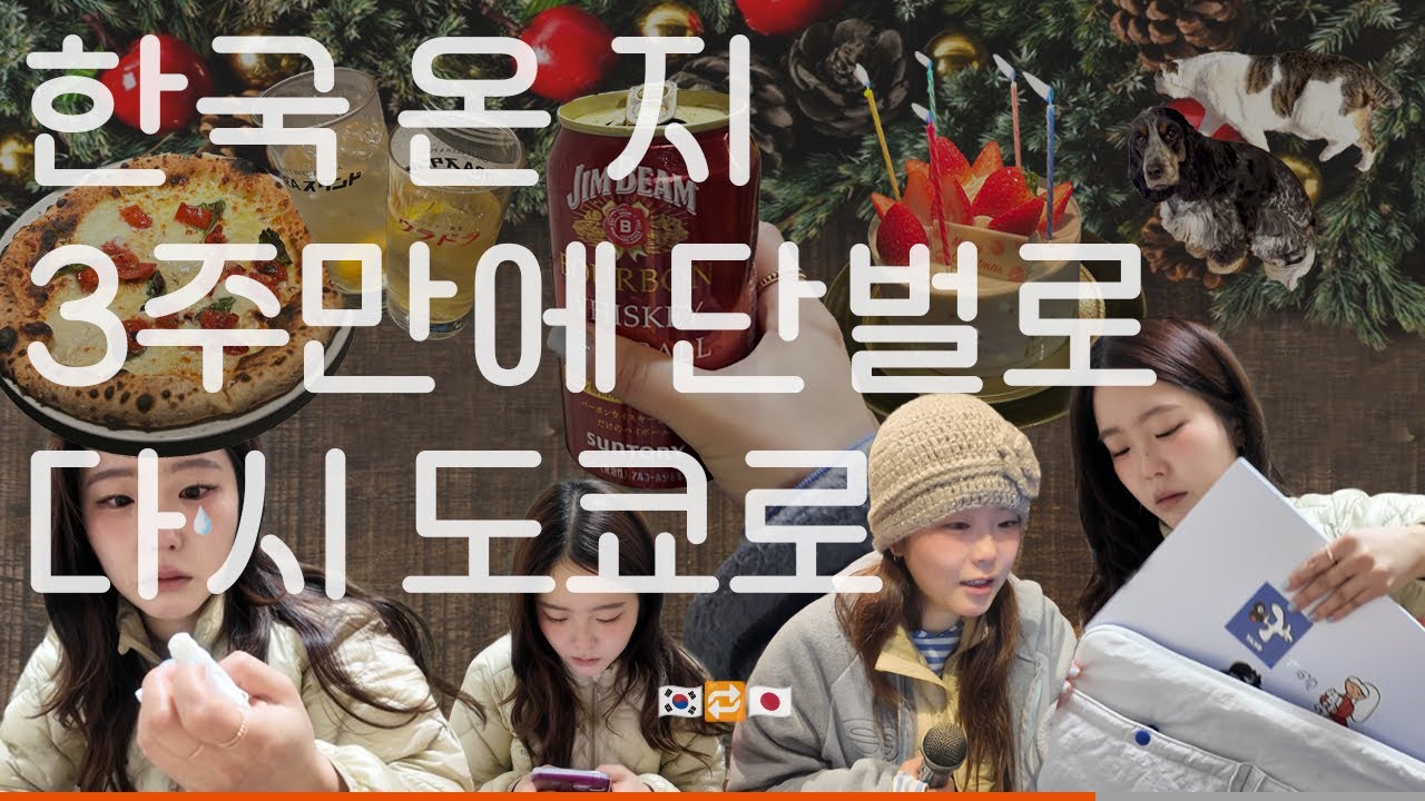 한국 온 지 3주만에 단벌신사로 다시 도쿄에