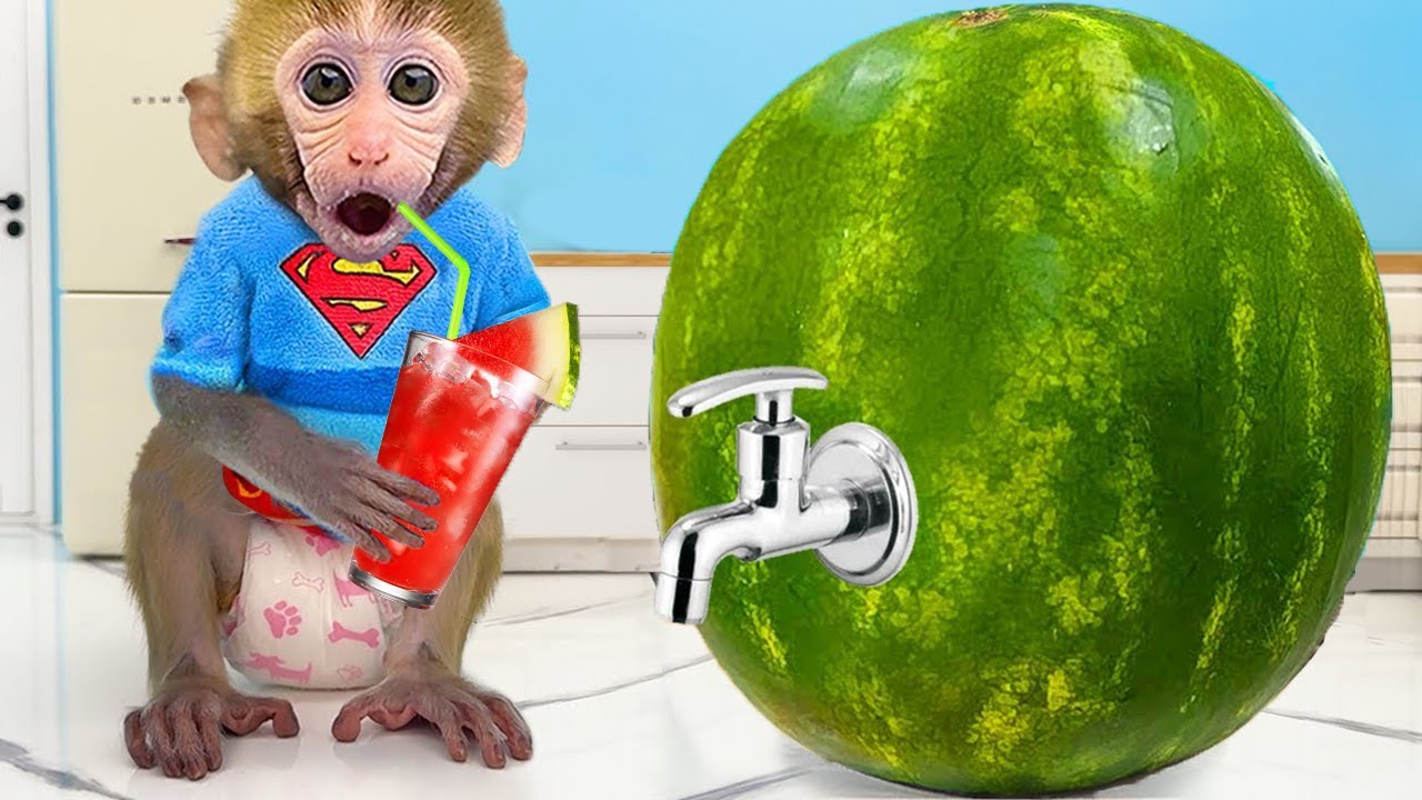 Scimmietta Bon Bon scopre la macchina magica della frutta e mangia un'anguria multicolore | Bon Bon