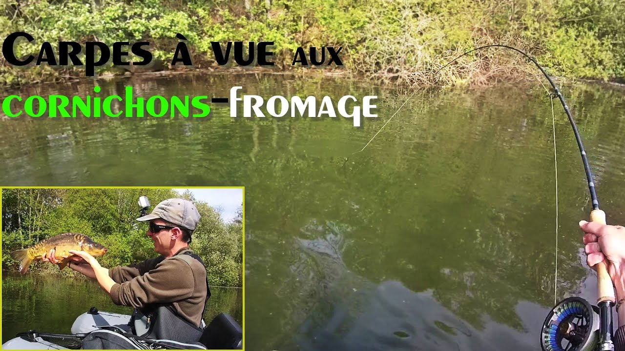CARPES A VUE à la CANNE A MOUCHE - stalking en float-tube (ceci est mon ouverture brochet 2024 😂)
