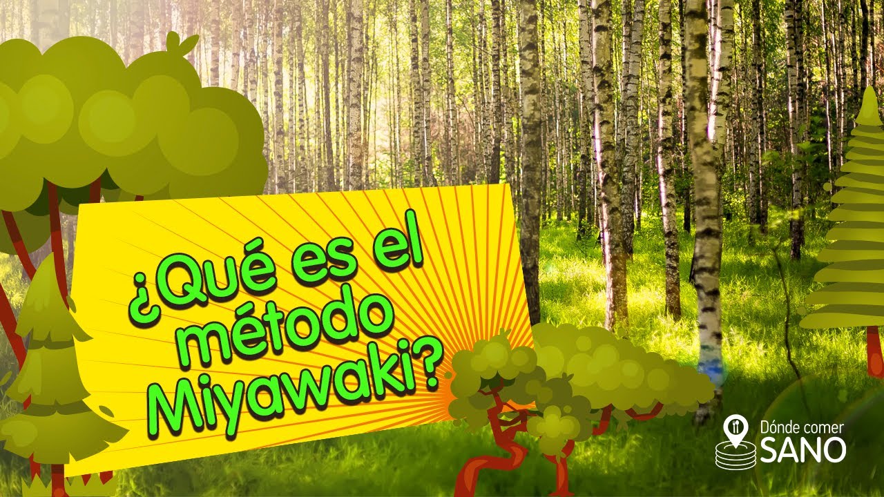 🌳 M&eacute;todo Miyawaki: bosques nativos que crecen r&aacute;pido y densos
