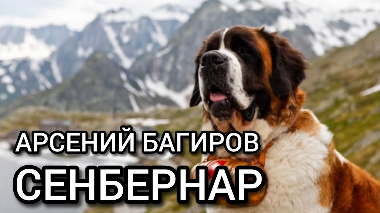 Арсений Багиров. Песня 