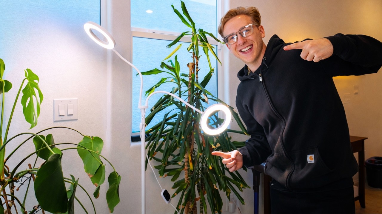 Make Your Plants Healthier with This 2-Head LED Grow Light