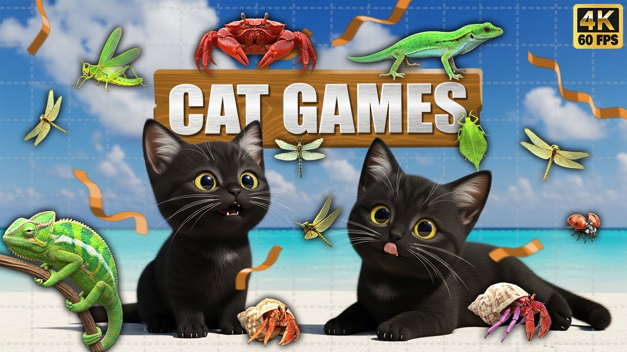 CAT GAMES 🐾3D Game for Cats | Video for Cats  – Ultimate CAT TV #136😻 4K60FPS