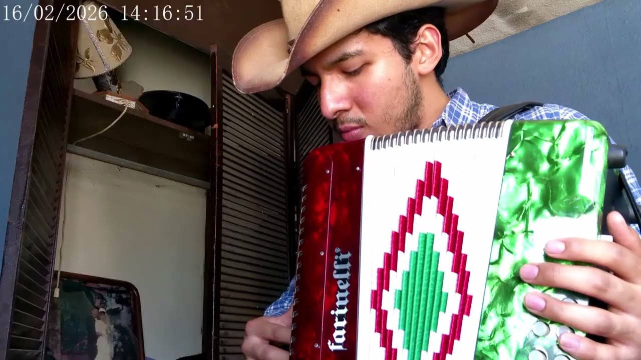 Desvelado cover