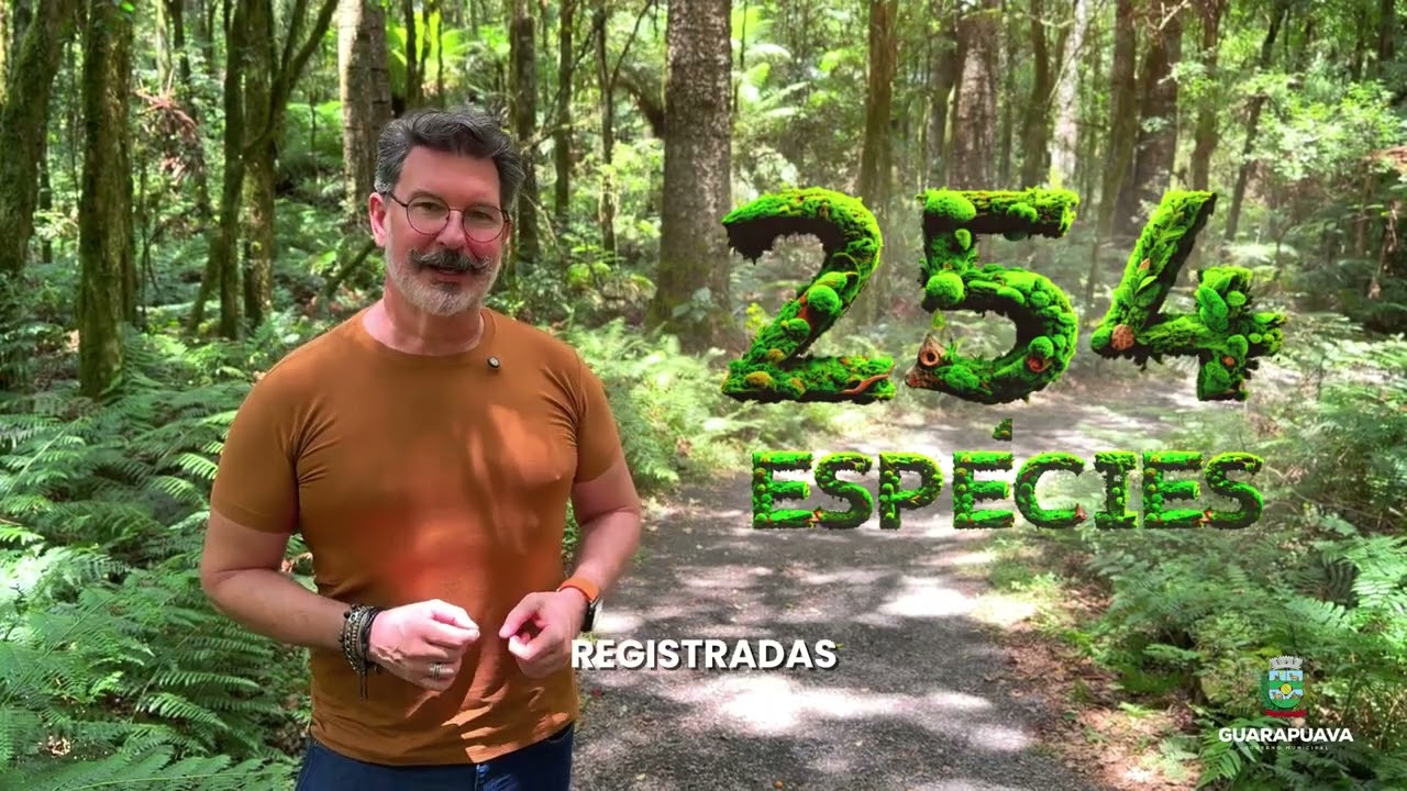 DOCUMENTÁRIO ARAUCARIA  EP1 O SANTUÁRIO VIVO