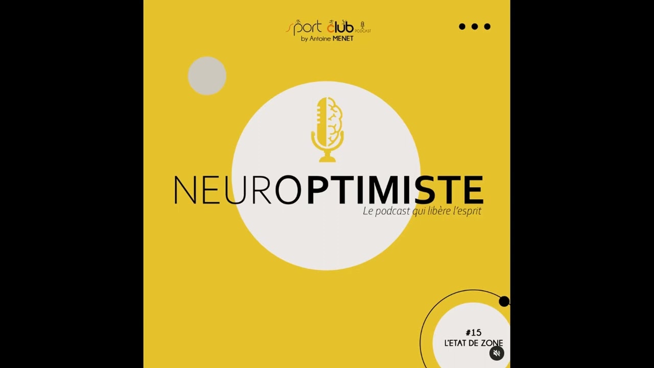 L'état de Zone / Flow - Neuroptimiste 15  Podcast français développement personnel motivation sport