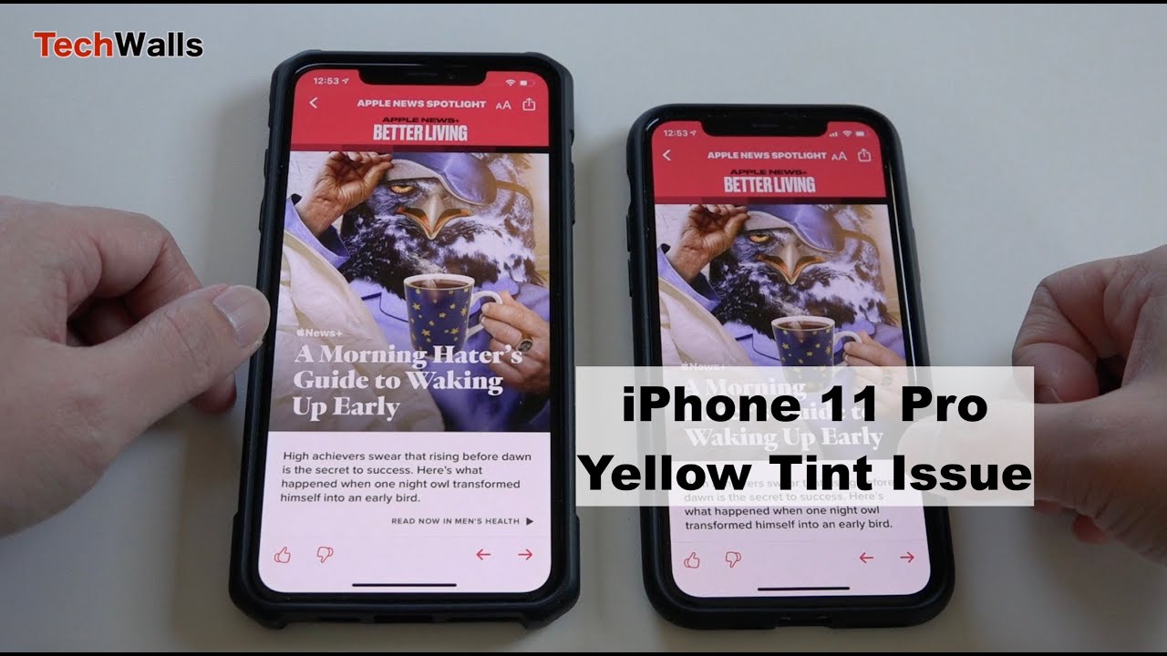 iPhone 11 Pro's Screen Looks Yellow - How To Fix It?