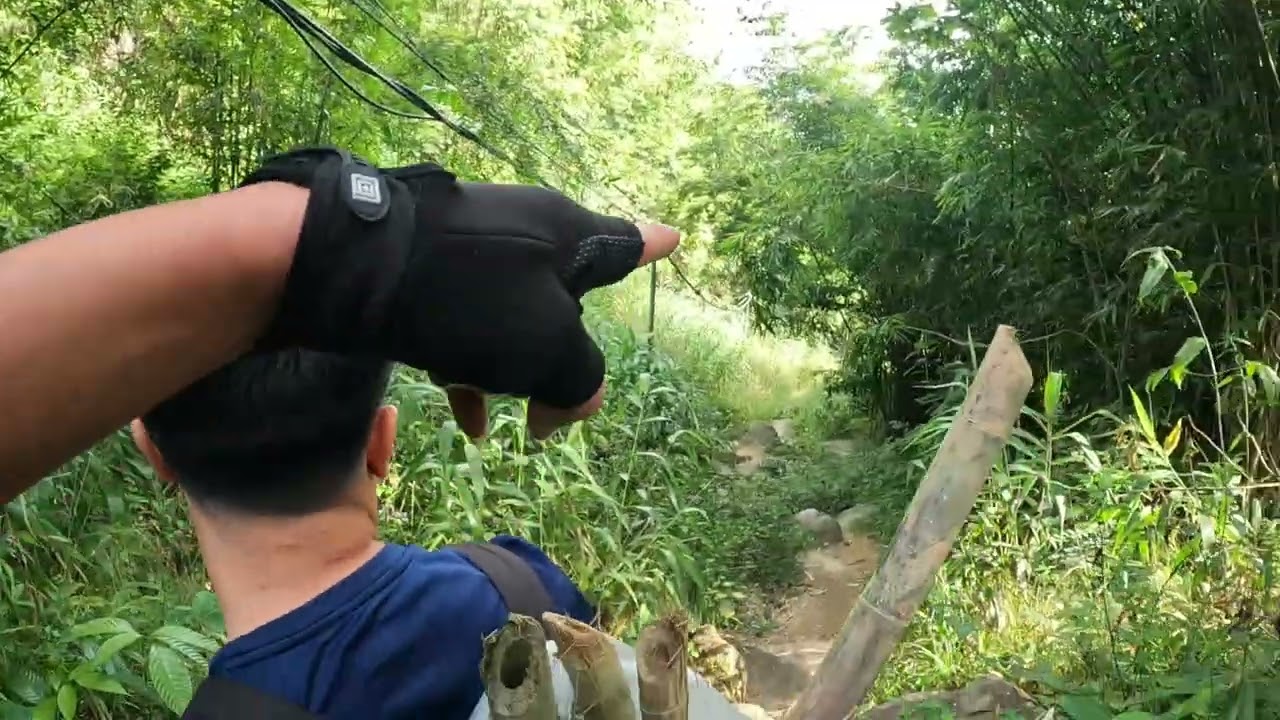 P25. trải nghiệm 2 ngày 1 đêm leo núi cắm trại trên núi chứa chan , hưng đang rảnh