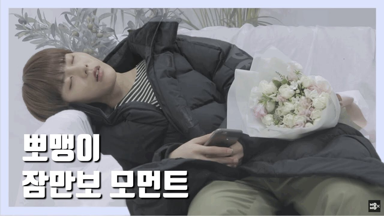 [골든차일드/보민] 뽀맹이 잠만보 모먼트