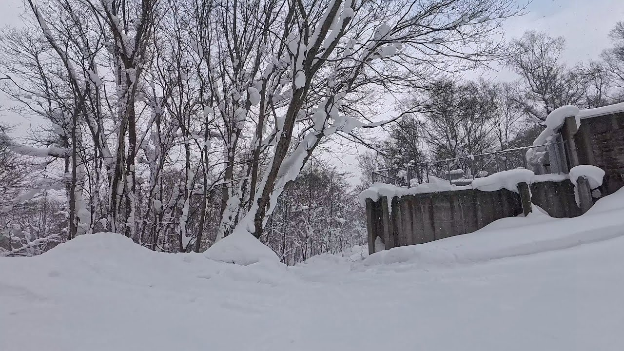 White heaven walk in rusutsu | Japan winter walk 🇯🇵