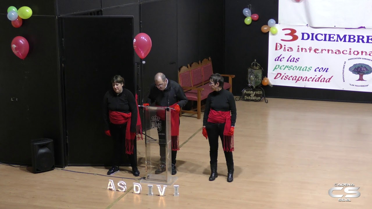 V&iacute;deo: Gala solidaria 