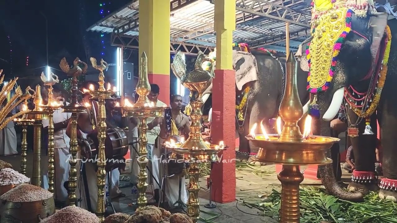 കുടജാദ്രിയിൽ കുടികൊള്ളും Nadaswaram  Haripad Murukadas #keralatemples #keralafestivals #