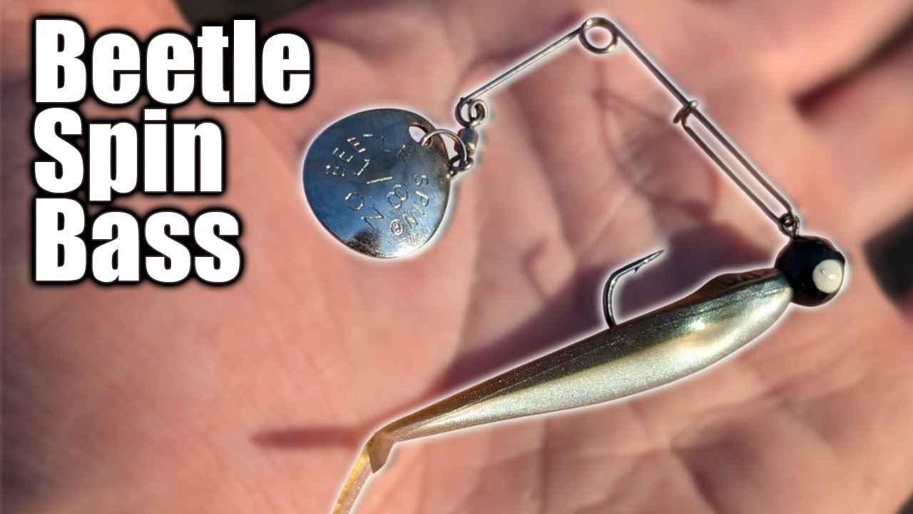 Bass Fishing with a Beetle Spin! (Early Spring Bass Fishing Lures)