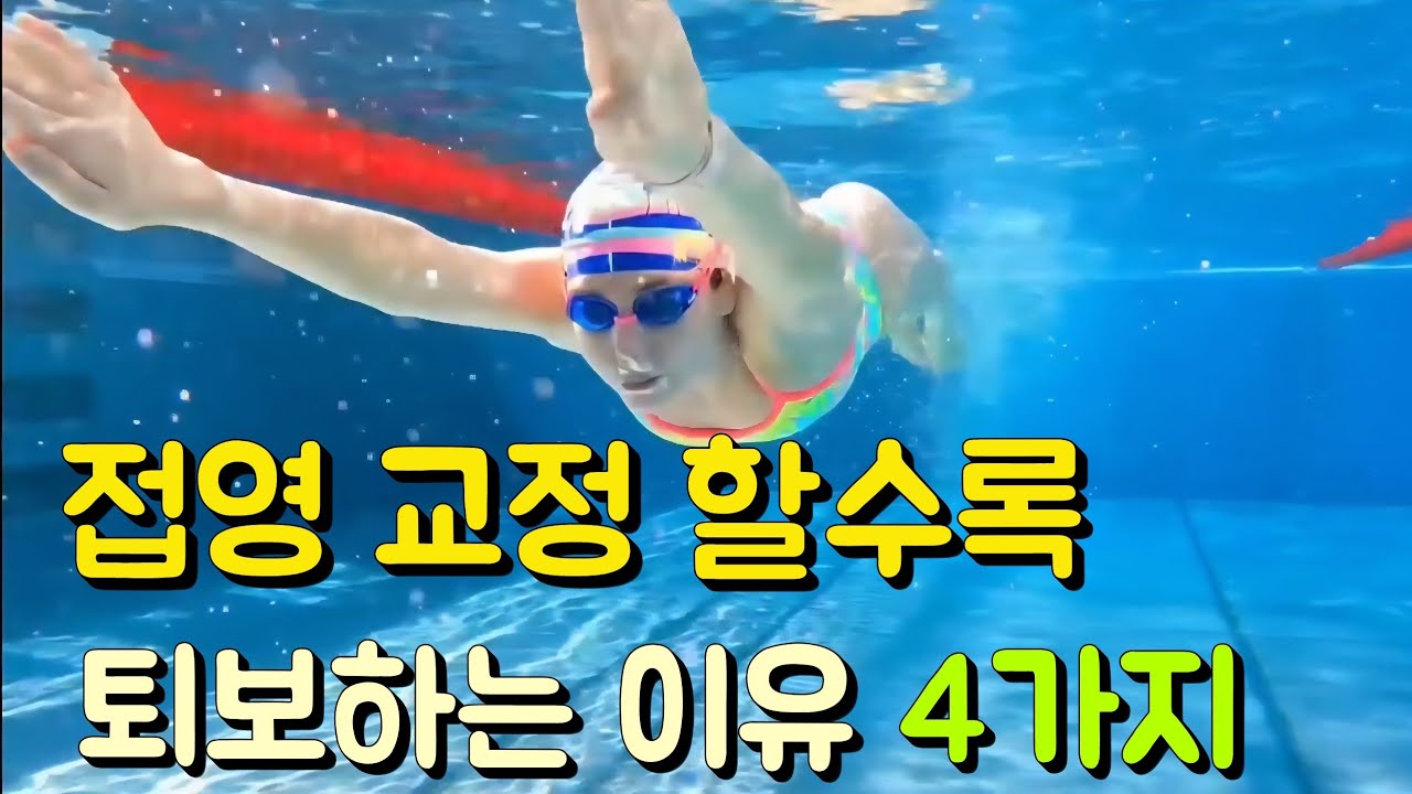 접영 교정할때 마다 실력이 후퇴하는 이유 4가지 알아보자!