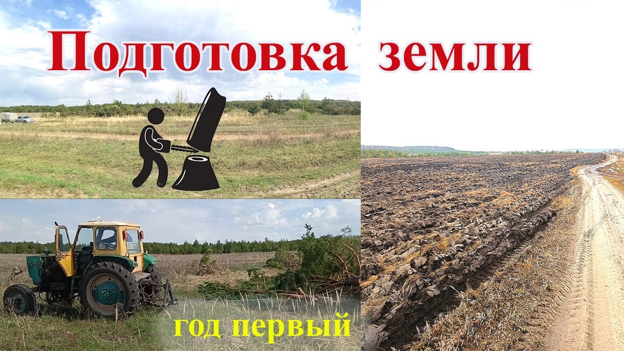 Разработка целины в 2 года. Год 1