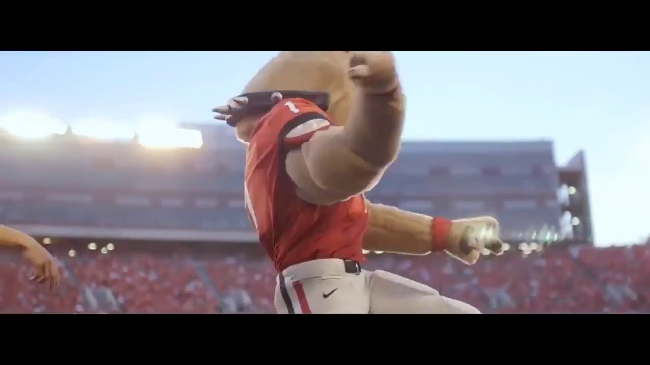 Georgia Bulldogs SEC Championship Hype Video 