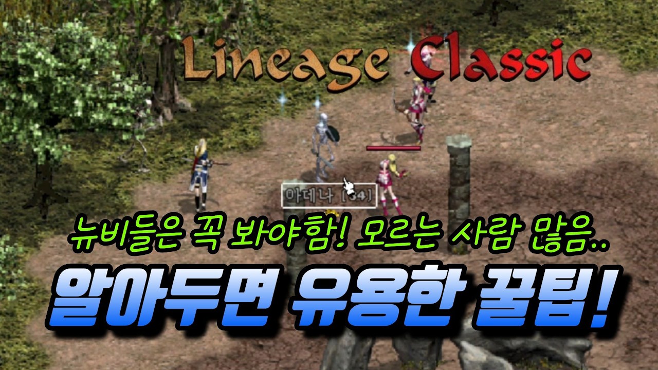 「리니지클래식」모르는 사람이 많아서 가장 많은 질문을 받았던 정보들