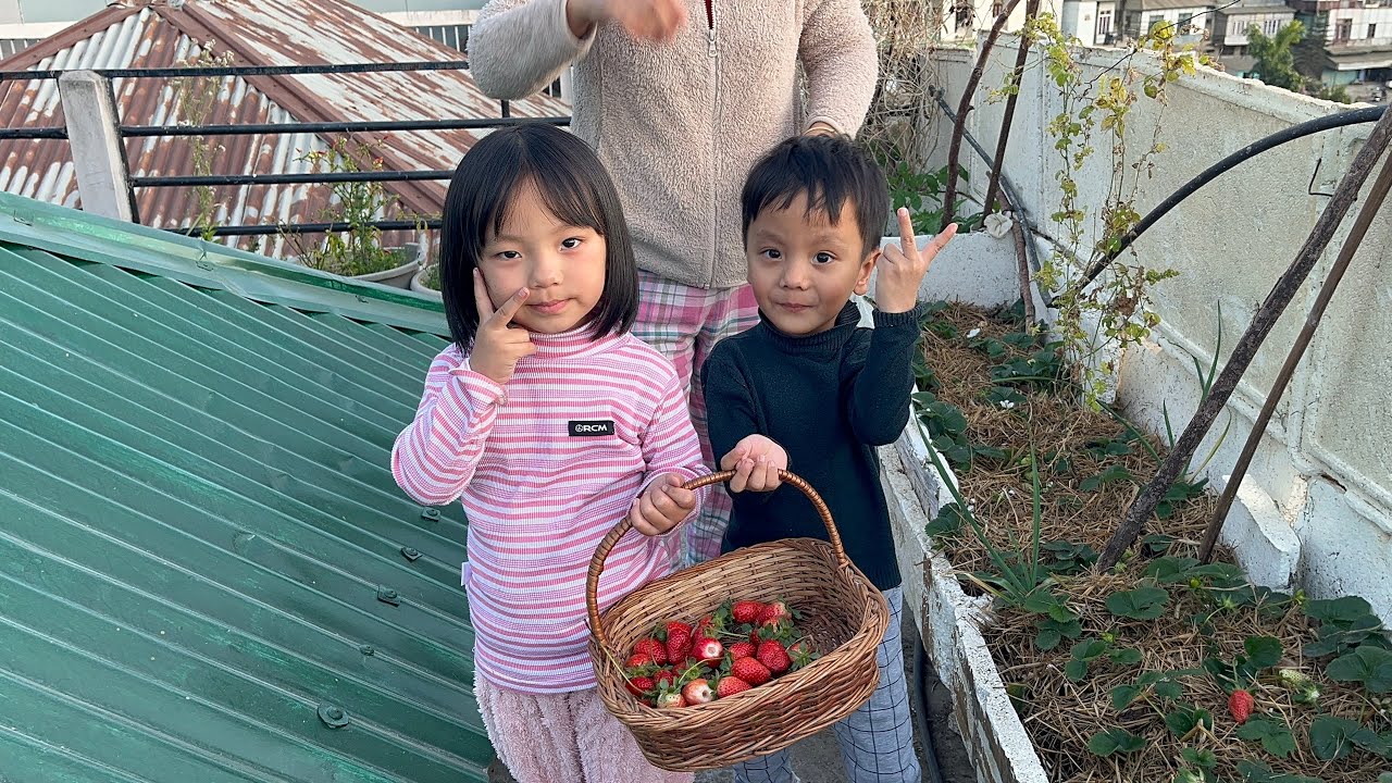 Strawberry 🍓 rannung ei lohna tura enkawl dan #strawberry 