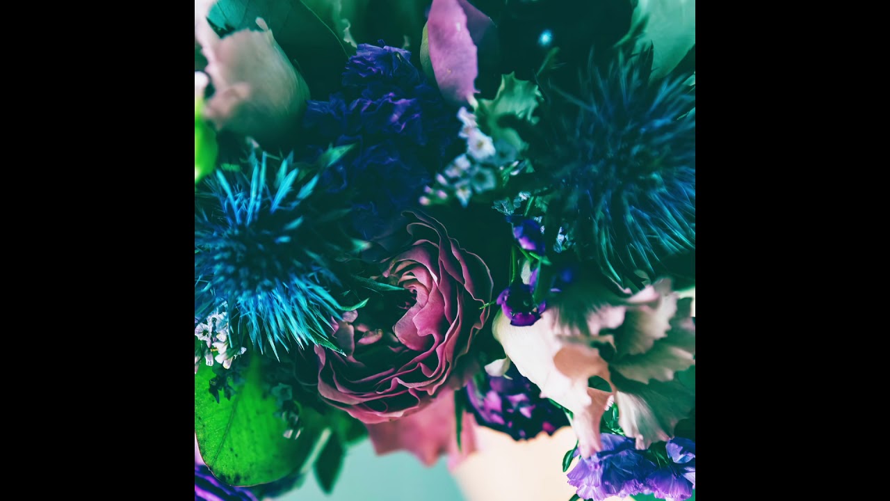 Phaeleh - Dusk