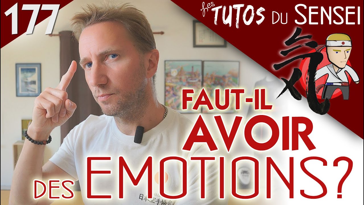 Faut il avoir des émotions quand on pratique les arts martiaux ?