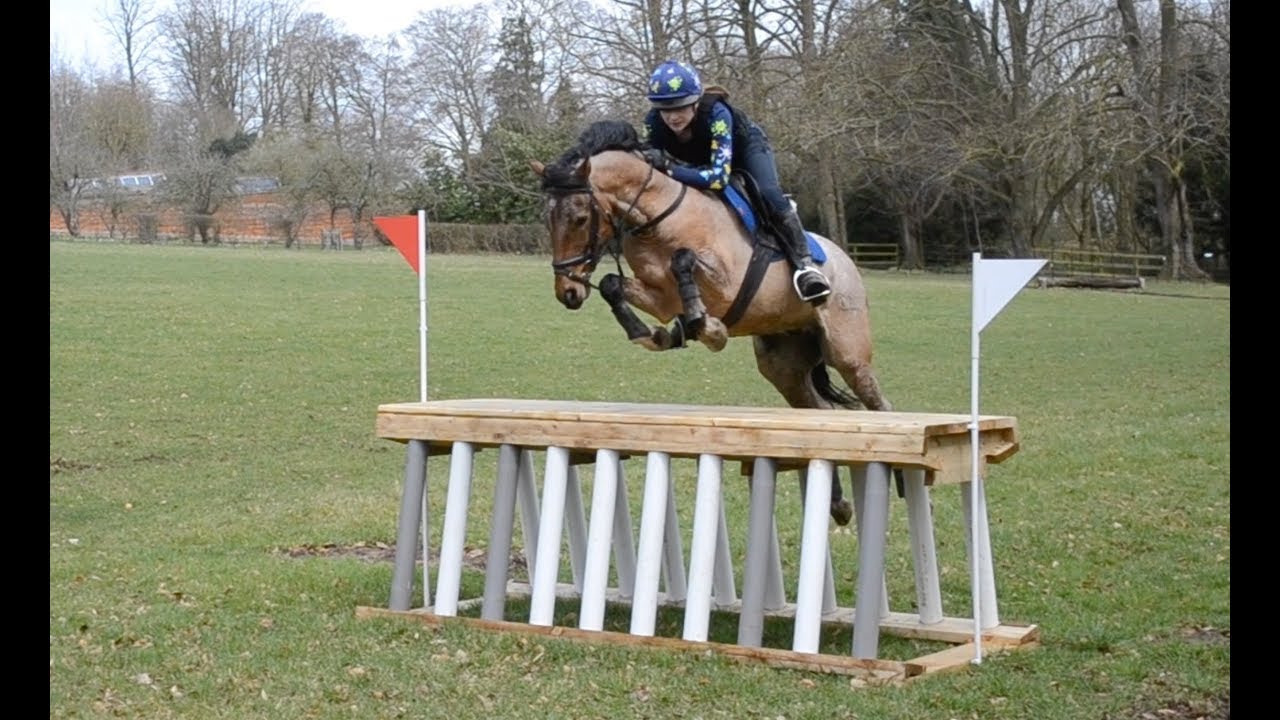XC schooling with sunny & Buddy @ rosehill