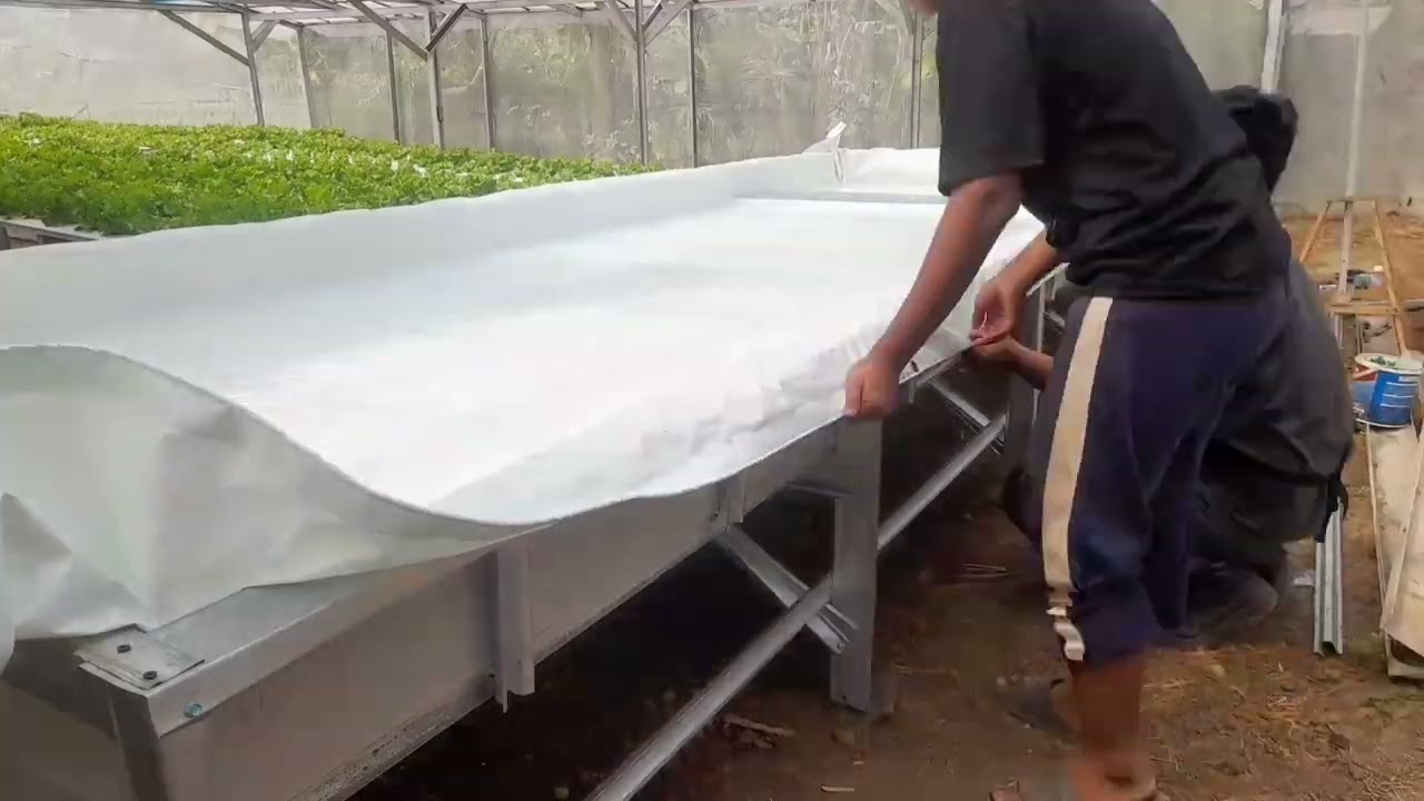 membuat hidroponik RAKIT APUNG || 6 x 2 m