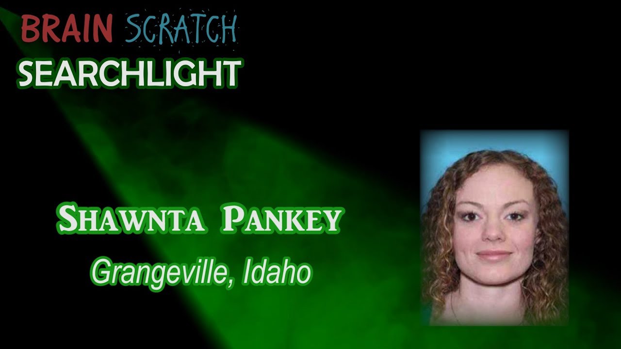 Шонта Панки в Brainscratch Searchlight