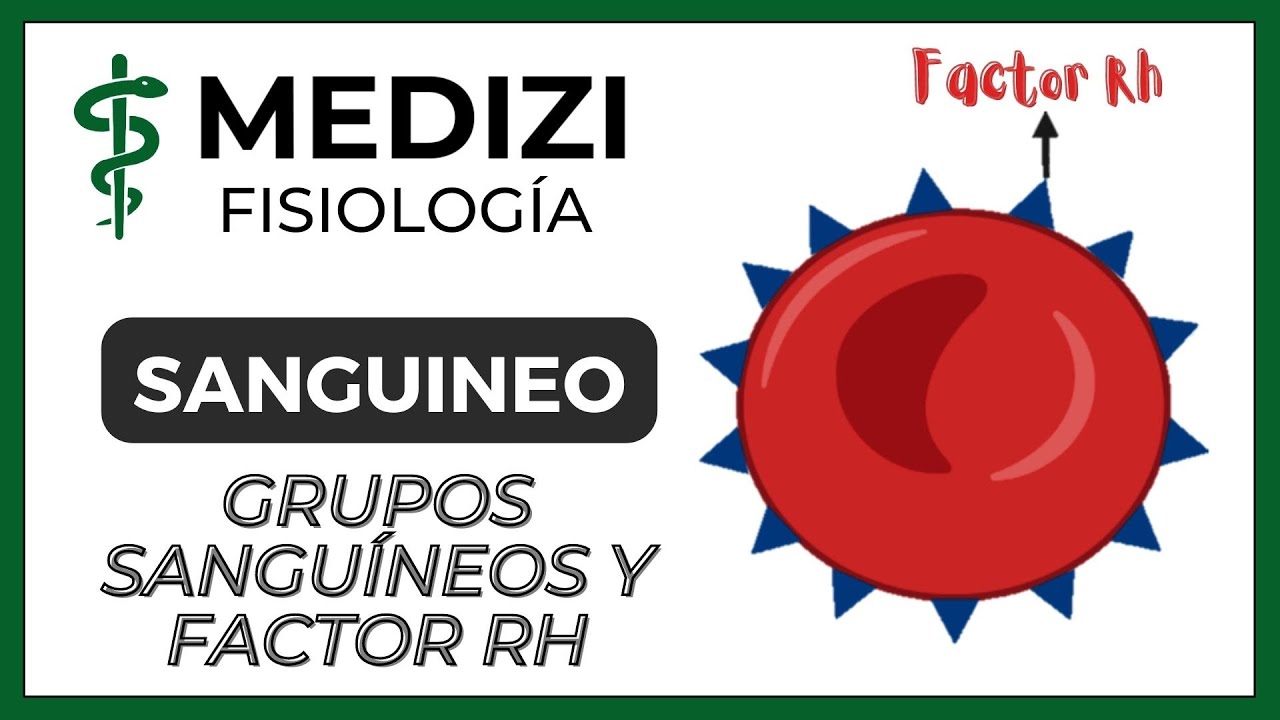 Clase 35 Fisiología Sanguínea - Grupos sanguíneos y Factor Rh (IG:@doctor.paiva)