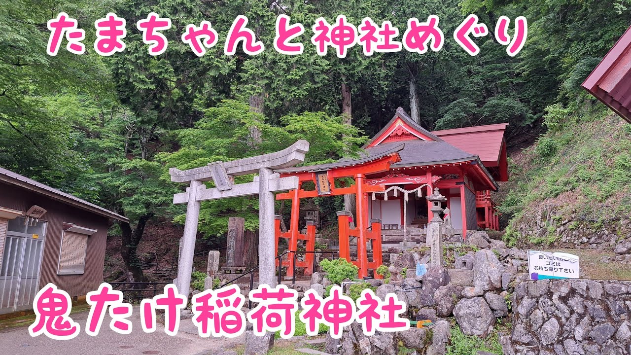 『たまちゃん』京都大江山鬼嶽稲荷神社