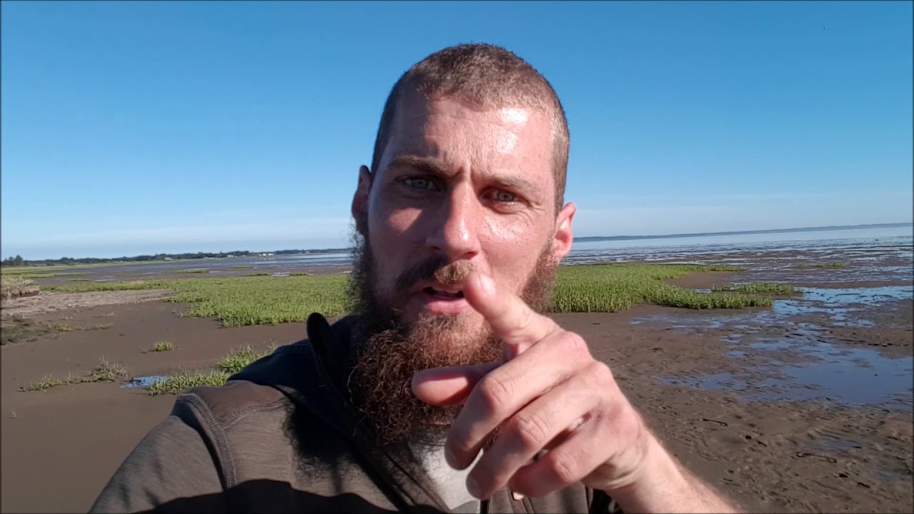 vlog 23. Naturnørd viser verdens lækreste spiselige plante.