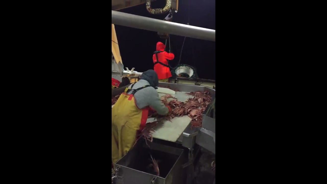 Снежный краб/ Snow crab fishing / good catch / opilio crab/ Fishing planet